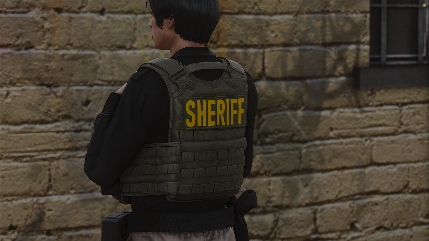 RTS Tactical Plate Carrier