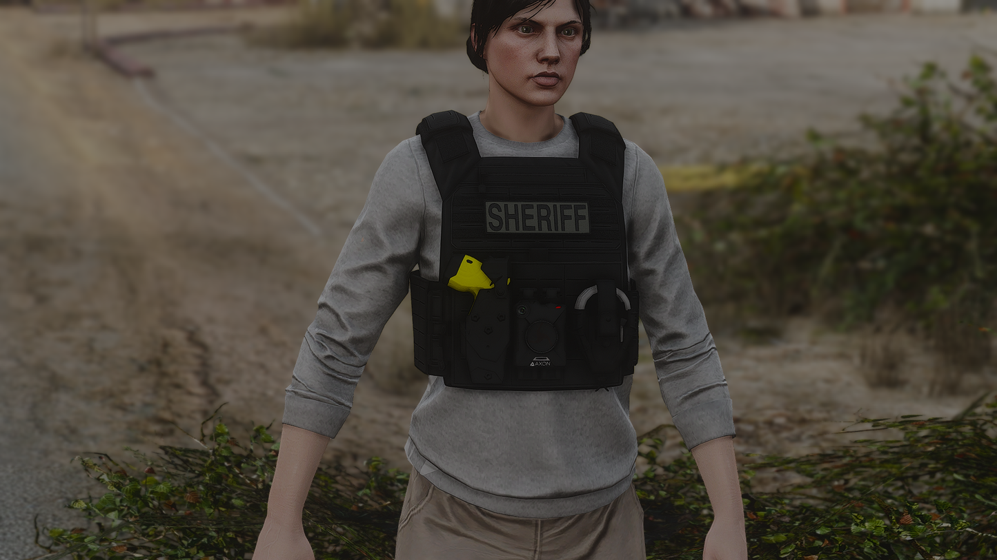 Police Plate Carrier Remastered
