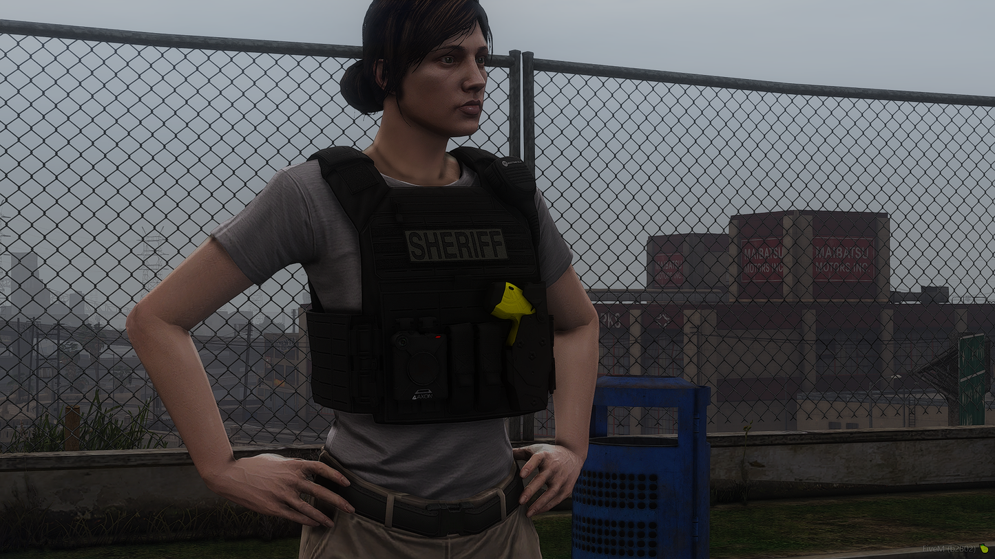 Police Plate Carrier Remastered