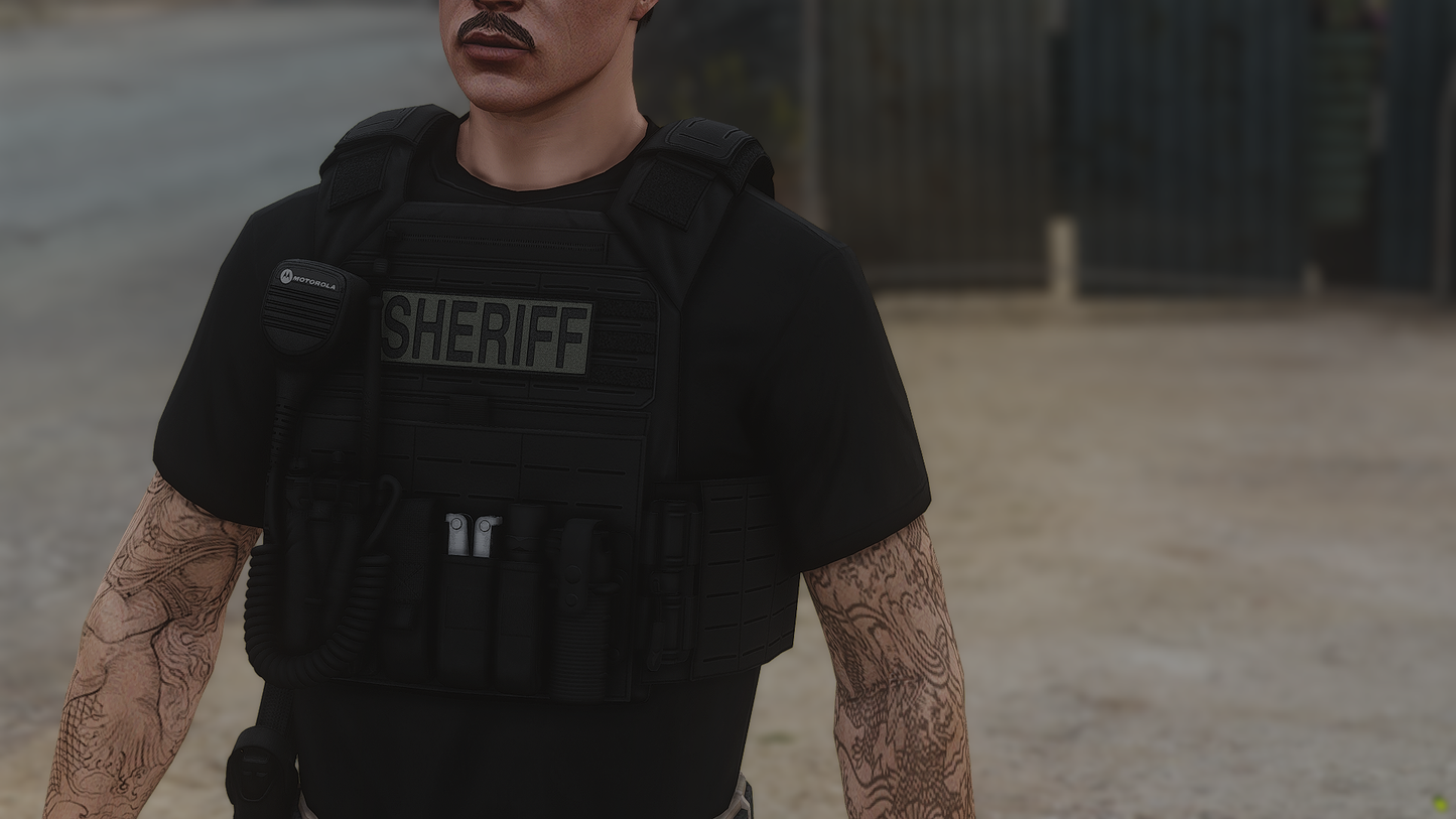 Police Plate Carrier Remastered