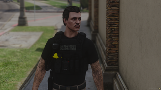 Police Plate Carrier Remastered – Pyro's Dev Shop