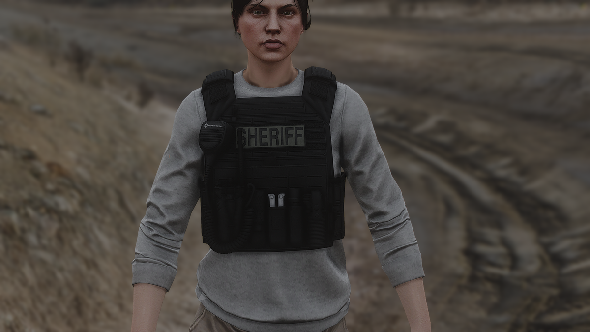 Police Plate Carrier Remastered – Pyro's Dev Shop