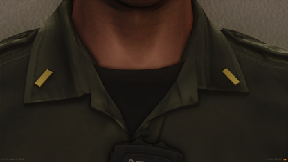 Collar & Epaulette Ranks