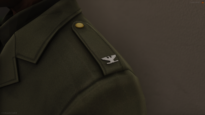 Collar & Epaulette Ranks