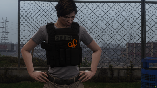 Police Plate Carrier Remastered